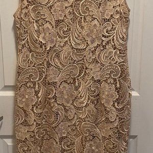 Adrianna Papell Champagne Lace dress 14W